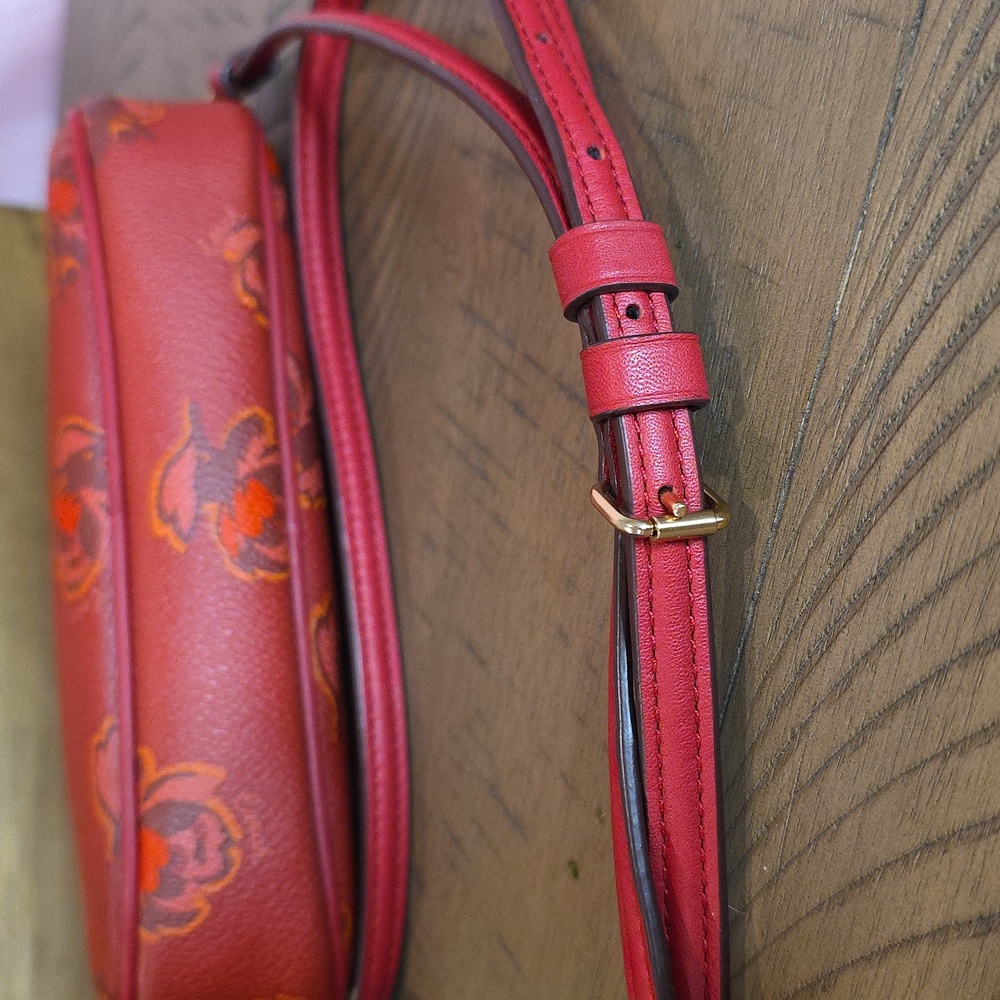 Coach Sadie Crossbody #31826 - Picture 7 of 9